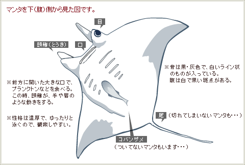 MILU]出会える、つながる、楽しめる、毎日が楽しくなる3DコミュニティゲームMILUへようこそ～！！